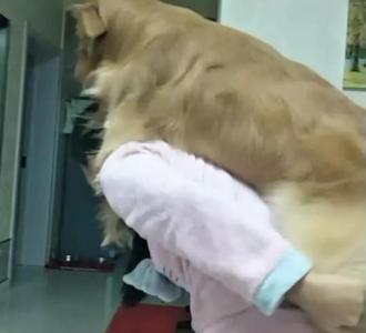 【野外生存 怎样用口哨吹求救代码?】视频直播