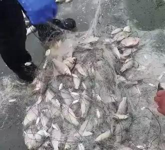 【直播神器拍段子必备】视频直播-YY