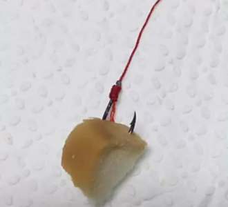 【黄色神迷钓法下面有鱼就开口】视频直播-YY小视民间频日本图片