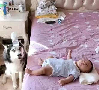 【抖音小助手谁说我在家没地位不听话就收拾她