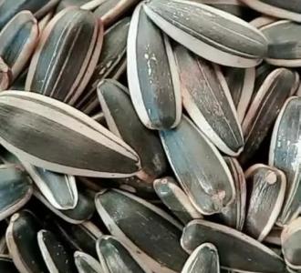 【一把香菜多年的胃病都好了】视频直播-YY