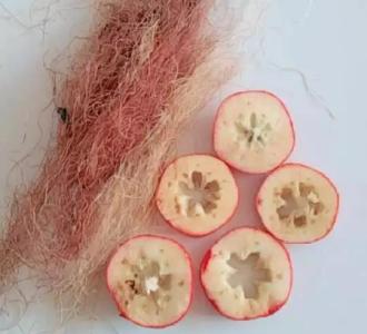 【治疗老年尿频的小方简单有效】视频直播-YY视频水龙卷图片